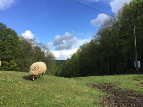 KraftQuelle